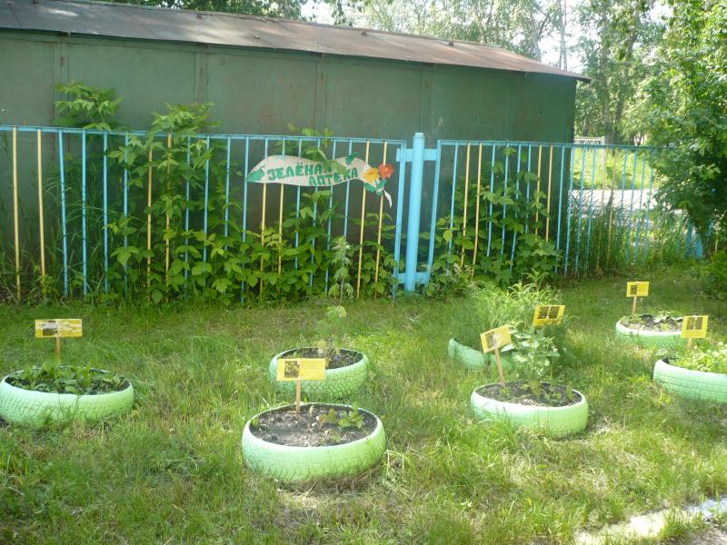 "зелёная аптека"